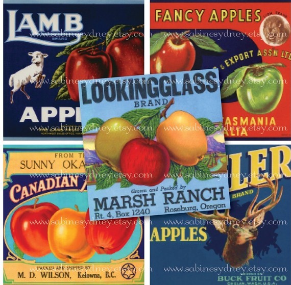 2 Inch Squares - Vintage Apple Labels 2 - Digital Collage Sheet 883 - Printable Download by ImageArts