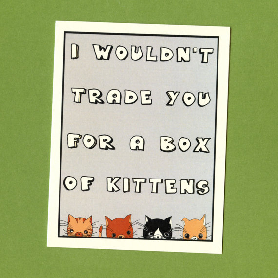 A BOX OF Kittens - Funny Love Card - Funny Valentine Card - Funny Valentine - I Love You Card - Cute Love Card - Kittens Card - Love Card by seasandpeas