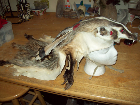 Badger Headdress With Skull Made To Order By Cherokeespirits